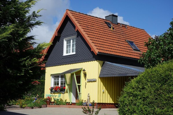 Exteriör