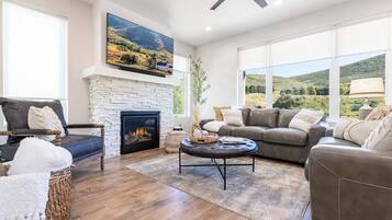 Télévision, cheminée, espaces bureaux