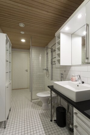 Deluxe Apartment | Bathroom | Shower, hair dryer, towels, soap
