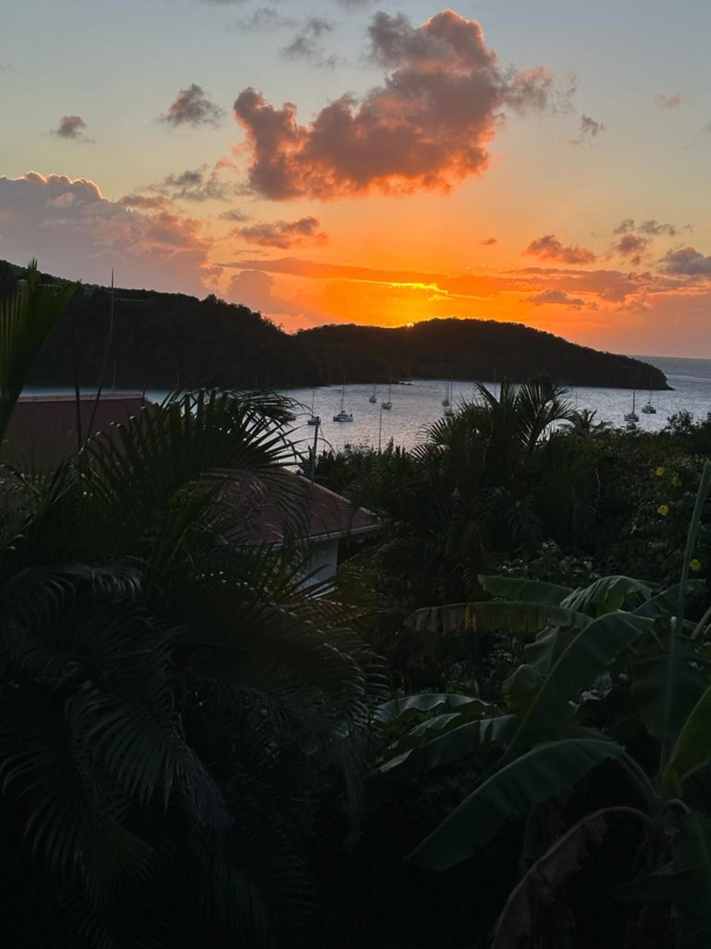 Vista del atardecer con barcos en un mar tranquilo, rodeado de exuberante vegetación.