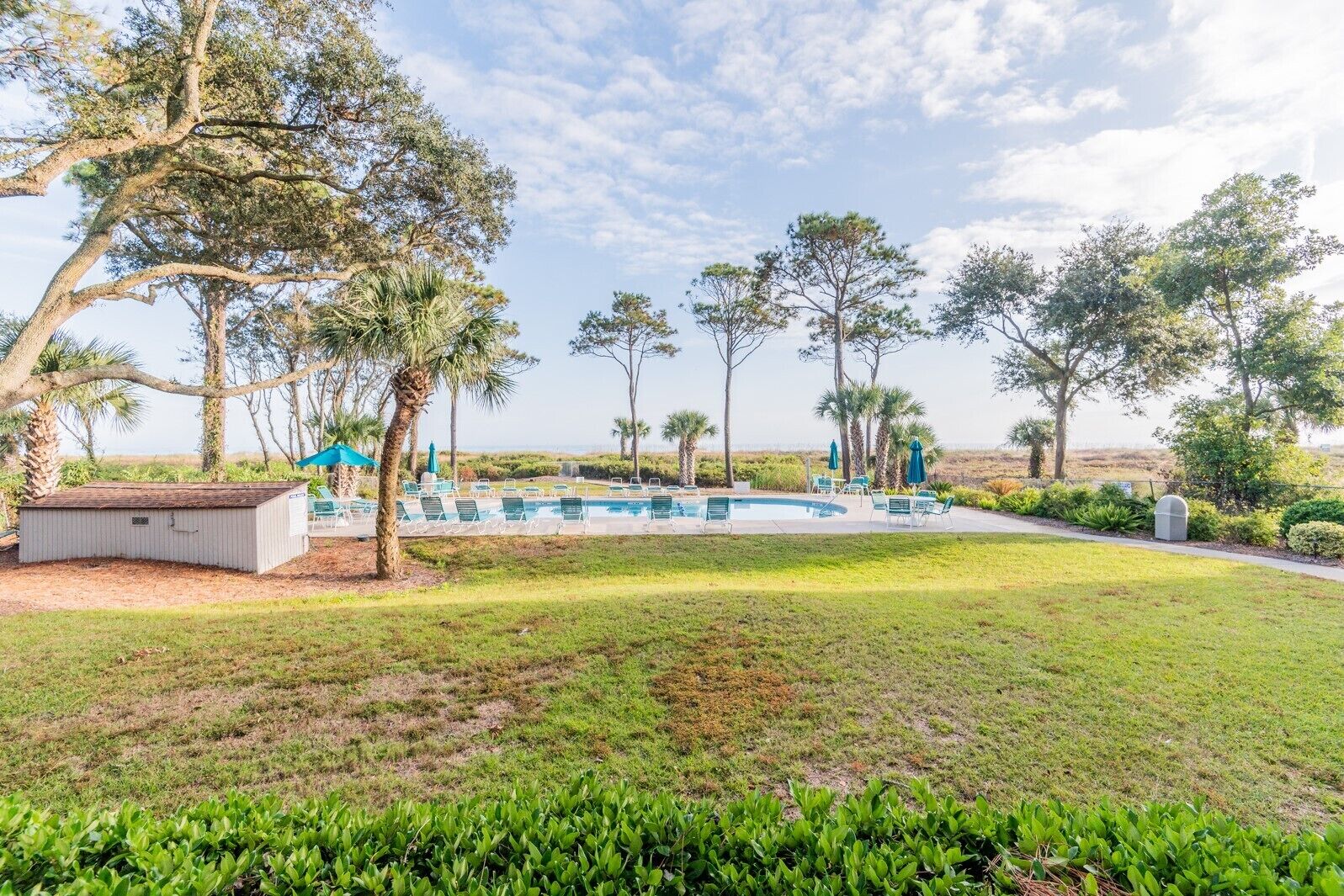 A pool area with lounge chairs and umbrellas, surrounded by trees and a grassy lawn.