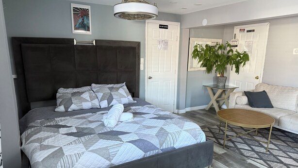 A modern bedroom with a large bed, a bedside table, a sofa, and a potted plant. - 1 bedroom 1 bath private entrance (Bay Shore)