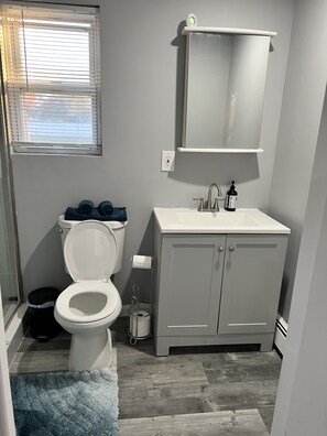 Shower, hair dryer, towels, shampoo