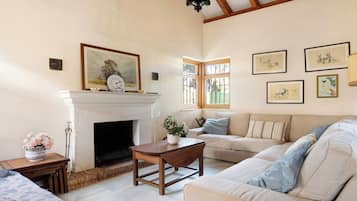 Una televisión, una chimenea