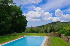 A swimming pool surrounded by lush greenery and a stone wall.
