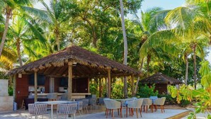 A wooden deck with outdoor seating, surrounded by palm trees.
