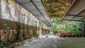 Une allée couverte, avec un mur de briques d’un côté et des plantes en pot de l’autre.