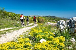 Three cyclists on a dirt path surrounded by yellow flowers and rocky terrain.