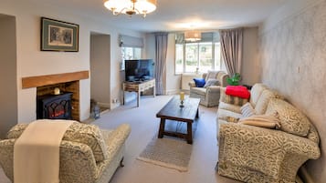TV, fireplace