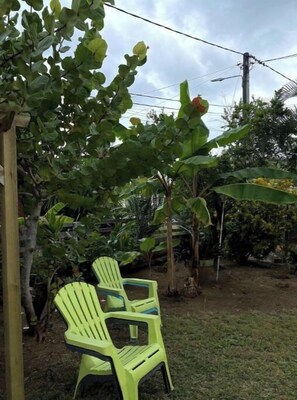 Property grounds - 3 - The almond tree (La Trinité)