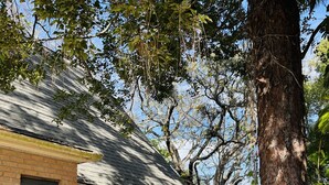 A brick house with a tiled roof, a red chair, and potted plants. - Beautiful suite with separate entrance. (New Port Richey)