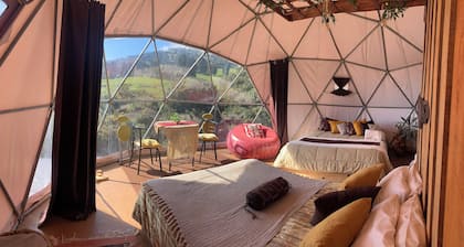 Poas Volcano Observatory Lodge & Glamping