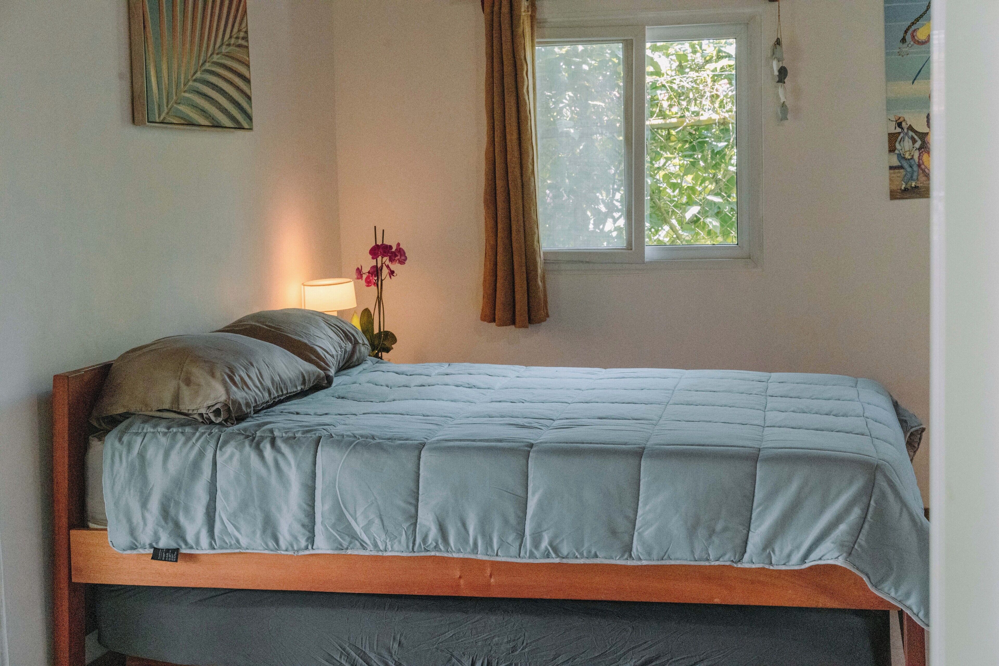 Una cama individual con estructura de madera y colchón gris, una lámpara de noche y una ventana con cortinas.