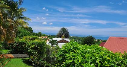 Baobab 1 Vacation Rental – 180° Ocean View, Pool & Nature in Sainte-Anne