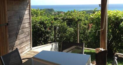 Baobab 1 Vacation Rental – 180° Ocean View, Pool & Nature in Sainte-Anne