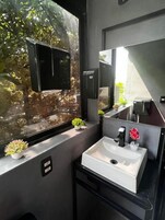 Ducha, secador de pelo, toallas