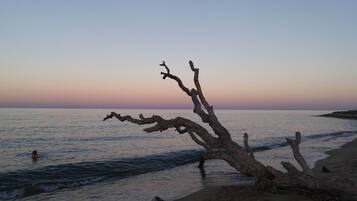 Accommodatie ligt op het strand