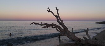 Lodge SALUTE, Lodge by the river, in the heart of nature