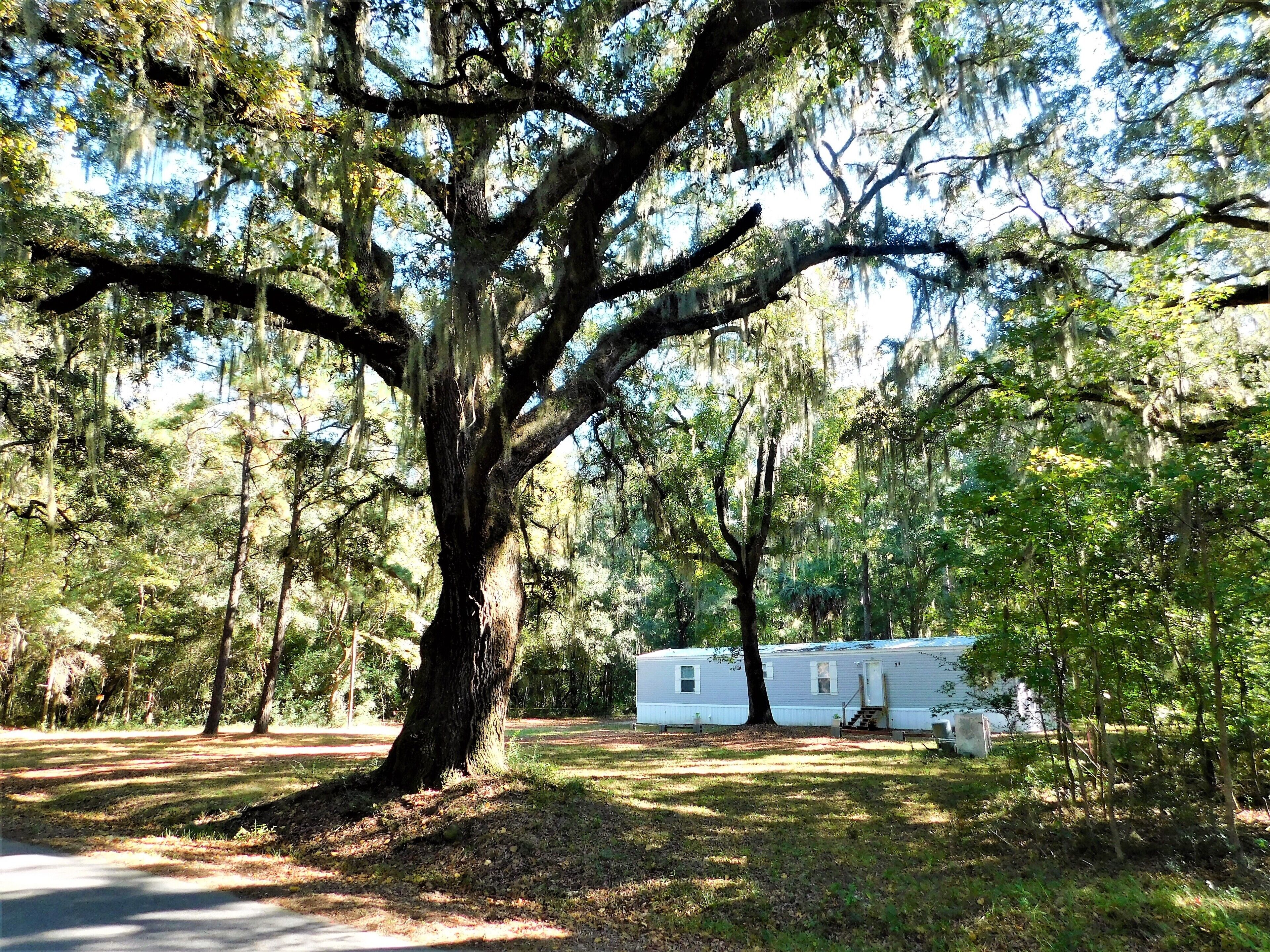 Secluded Boater's Paradise - 1 Mile From Public Boat Landing