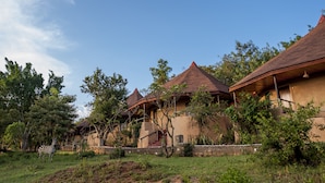 A row of bungalow-style buildings with pitched roofs, surrounded by lush greenery and trees. - Masai Mara Sopa Lodge (Maasai Mara)