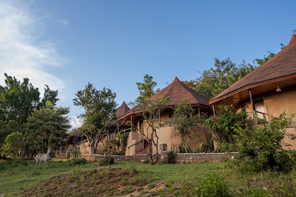 Ngoại thất