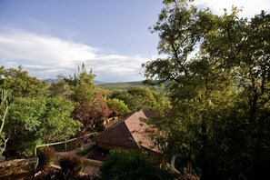 Ngoại thất