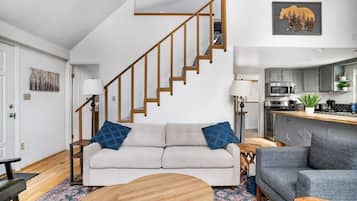 TV, fireplace, books, stereo