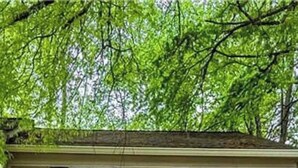 A two-story house with a front door, two windows on the ground floor, and a small front yard with a pathway leading to the door. - Cheerful 2 bedroom townhouse with indoor Fireplace (Tucker)