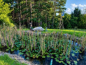 Parco della struttura