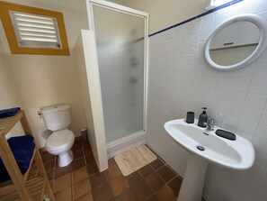 Shower, hair dryer, towels, soap