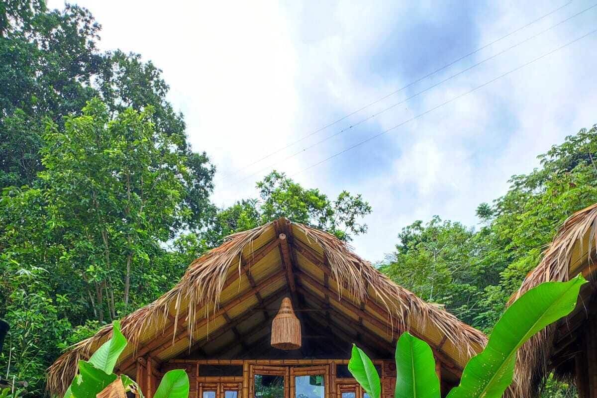 A rustic wooden structure with a thatched roof, surrounded by lush tropical vegetation.
