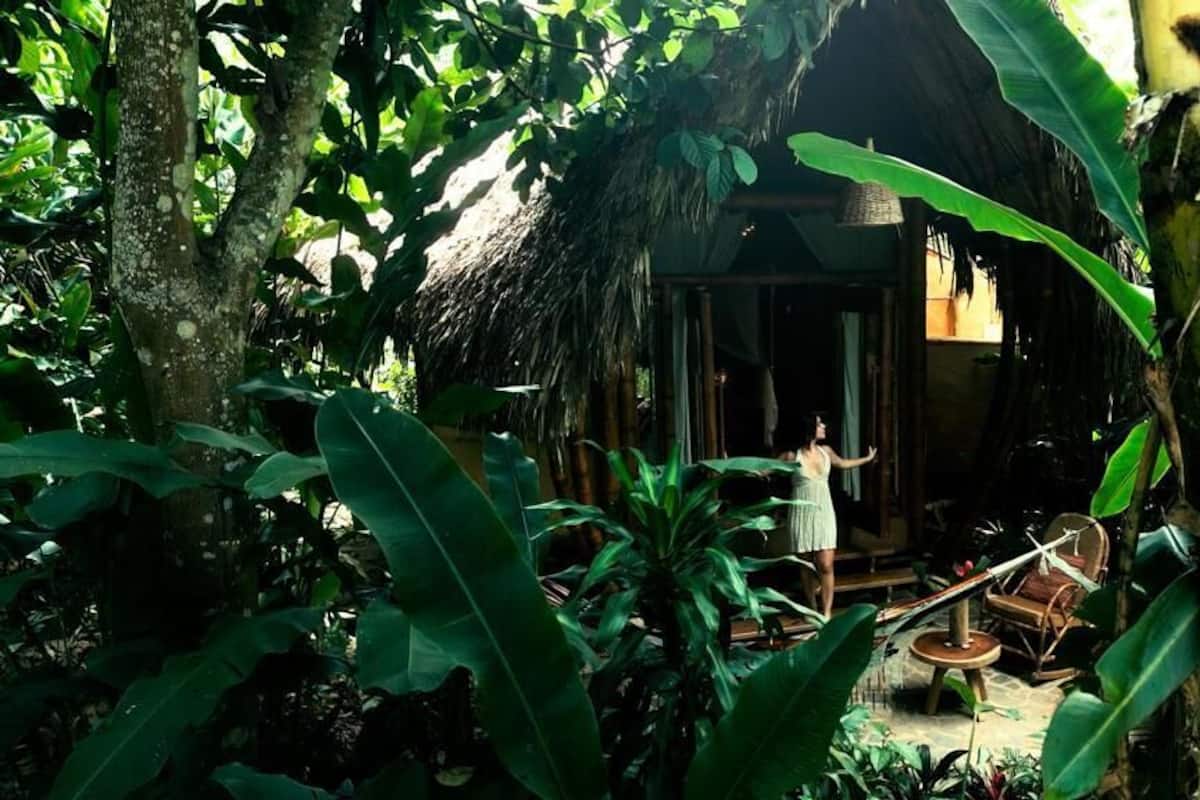 A rustic hut with a thatched roof surrounded by lush greenery.