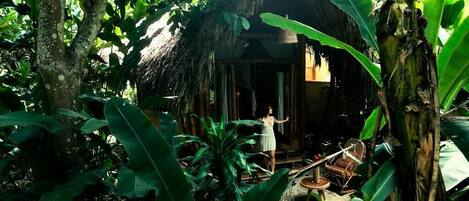 A rustic hut with a thatched roof surrounded by lush greenery.