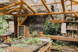 A rustic nursery with wooden structures and a chalkboard displaying plant care instructions. - YAY Sustainable (Santa Marta)