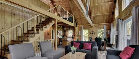 Una televisión, una chimenea, libros