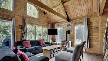 Televisión, chimenea, libros