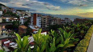 Un paysage urbain côtier avec des immeubles à plusieurs étages, une végétation luxuriante et un ciel dégagé.