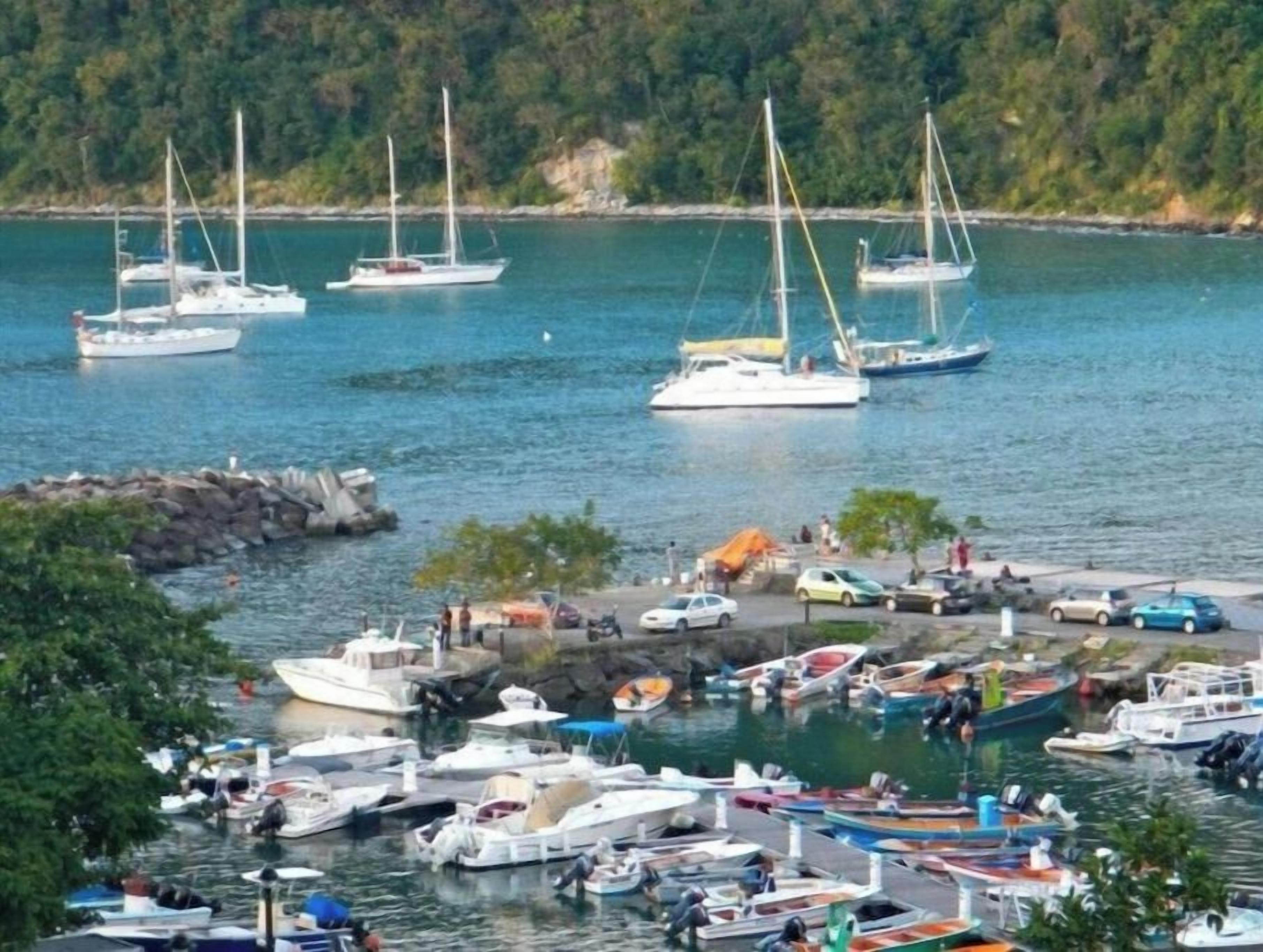 A marina with various boats docked, a rocky shoreline, and a forested background.