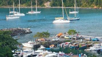 A marina with various boats docked, a rocky shoreline, and a forested background.