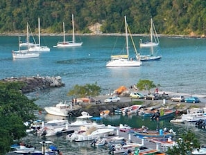 Un port de plaisance où sont amarrés différents types de bateaux, une côte rocheuse et un paysage boisé en arrière-plan.