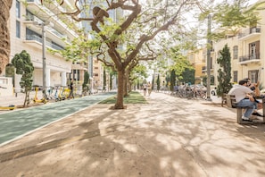 A tree-lined urban street with a green bike lane, benches, and parked bicycles.