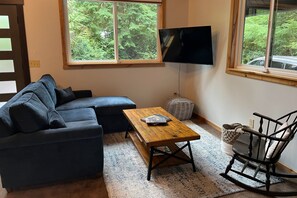 TV, fireplace, table tennis, books