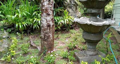 Garden paradise banjar/lovina