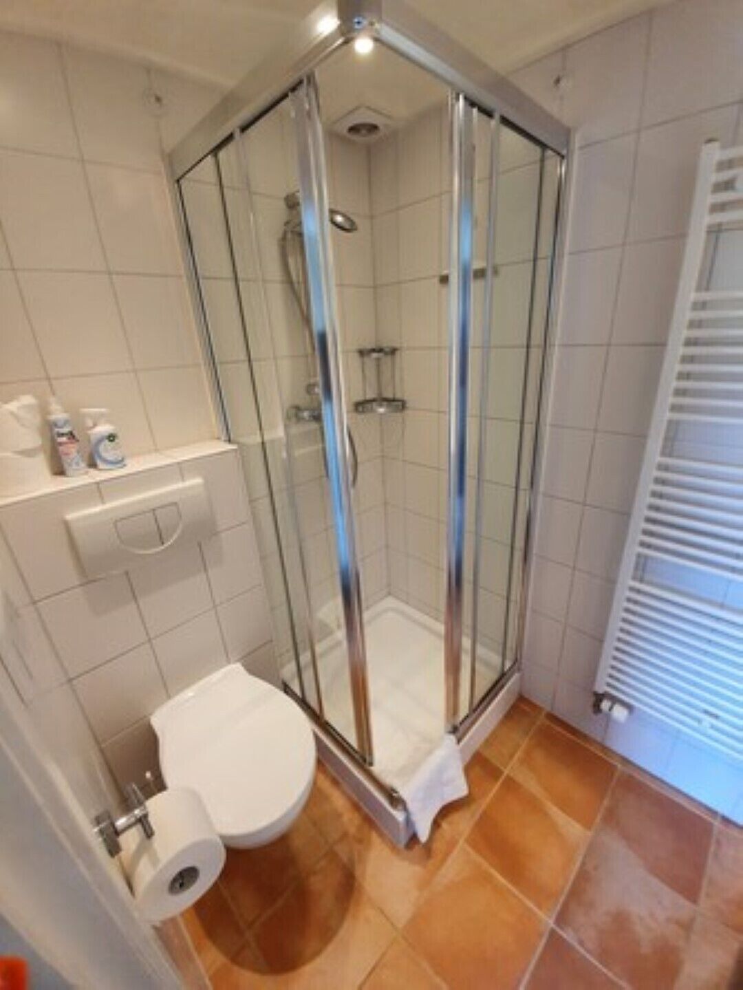A bathroom with a glass-enclosed shower, a toilet, and a towel rack.
