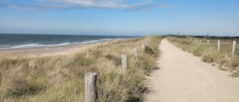 A sandy path leading to a beach with grassy dunes and a clear sky.