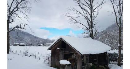Country Mountain Getaway! Relax, Unplug, Unwind! 110+ yr.old Renovated Farmhouse