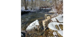 Country Mountain Getaway! Relax, Unplug, Unwind! 110+ yr.old Renovated Farmhouse