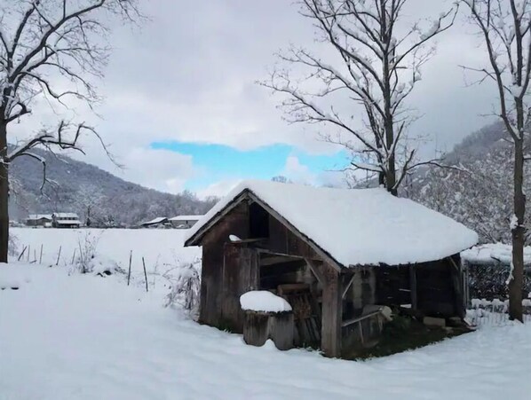 Cozy cabin nestled among the trees, offering a serene winter retreat.