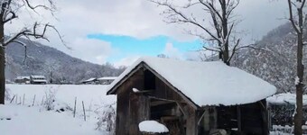 Country Mountain Getaway! Relax, Unplug, Unwind! 110+ yr.old Renovated Farmhouse