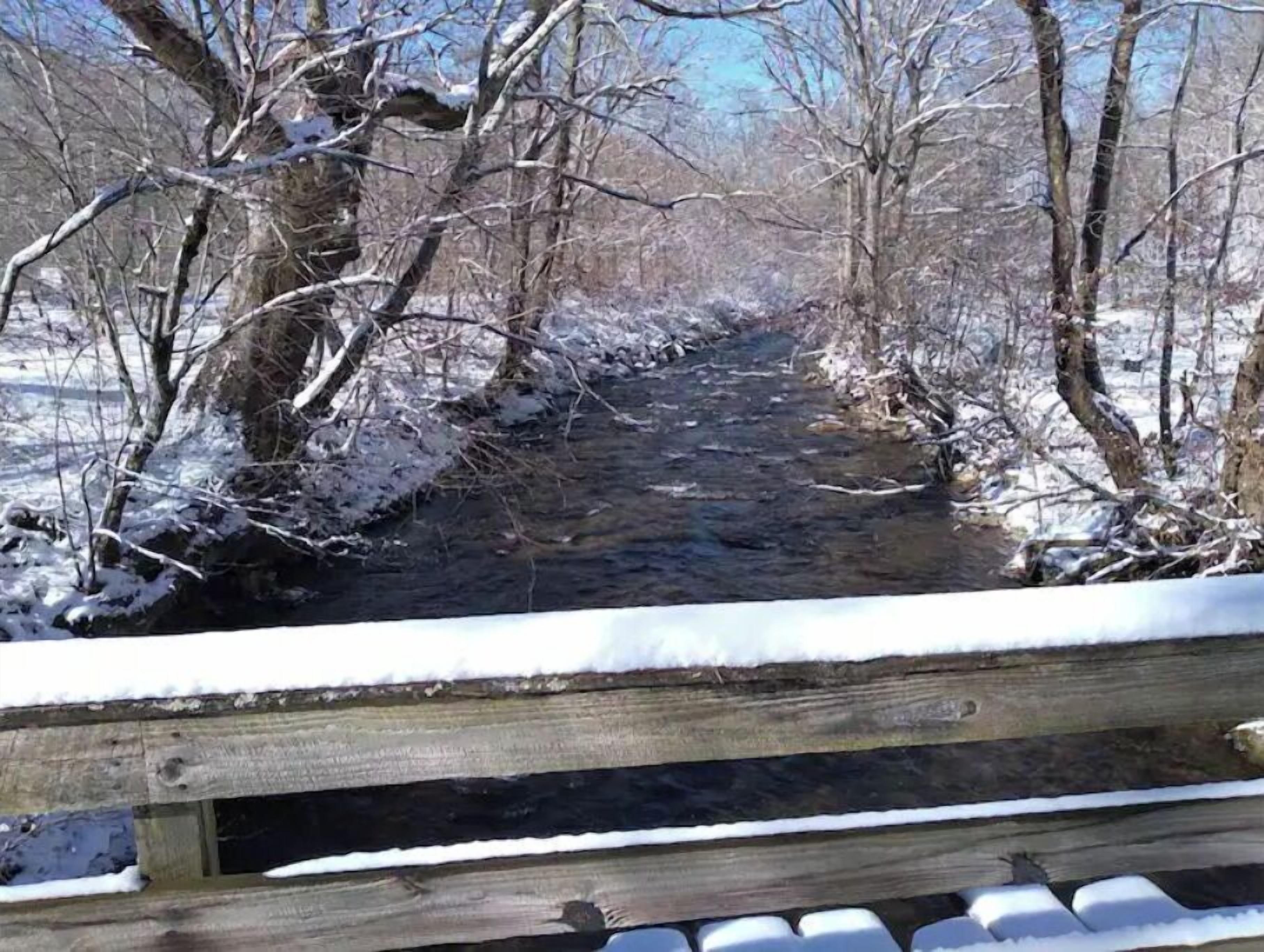 A wooden bridge over a snow-covered stream in a forested area.